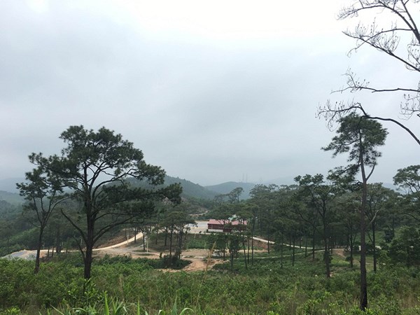 Uốn lượn đường thông xanh lên chùa ‘bàn tay của Phật’