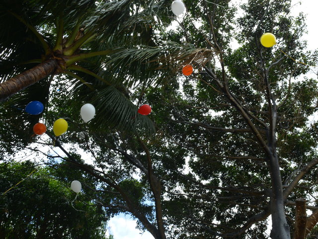 Đại lễ Lạc Thành Ngôi chánh điện - Thiền viện Chân Không,Hawaii - Hoa Kỳ