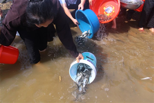 Thanh Hóa: Lễ tưởng niệm các nạn nhân bị bom Pháp giết hại tại chợ Kiểu- Yên Định