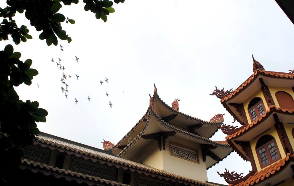 TP. HCM: Khóa tu thiền tại chùa Từ Tân