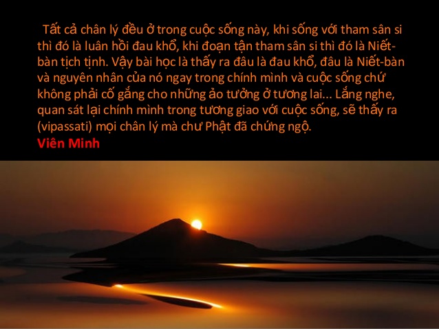 Thơ: Giọt Buồn 100 Năm !
