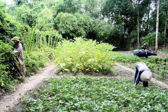 Tp.Hồ Chí Minh: Phóng sự ảnh Gieo Hạt Từ Tâm - Kỳ 50