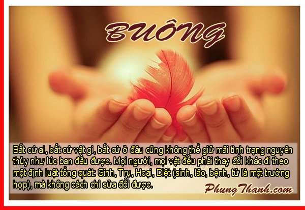 Nghệ Thuật Buông Xả Đúng Đắn, Qua Bốn Sự Thật Cao Quý Của Đức Phật