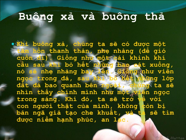 Nghệ Thuật Buông Xả Đúng Đắn, Qua Bốn Sự Thật Cao Quý Của Đức Phật