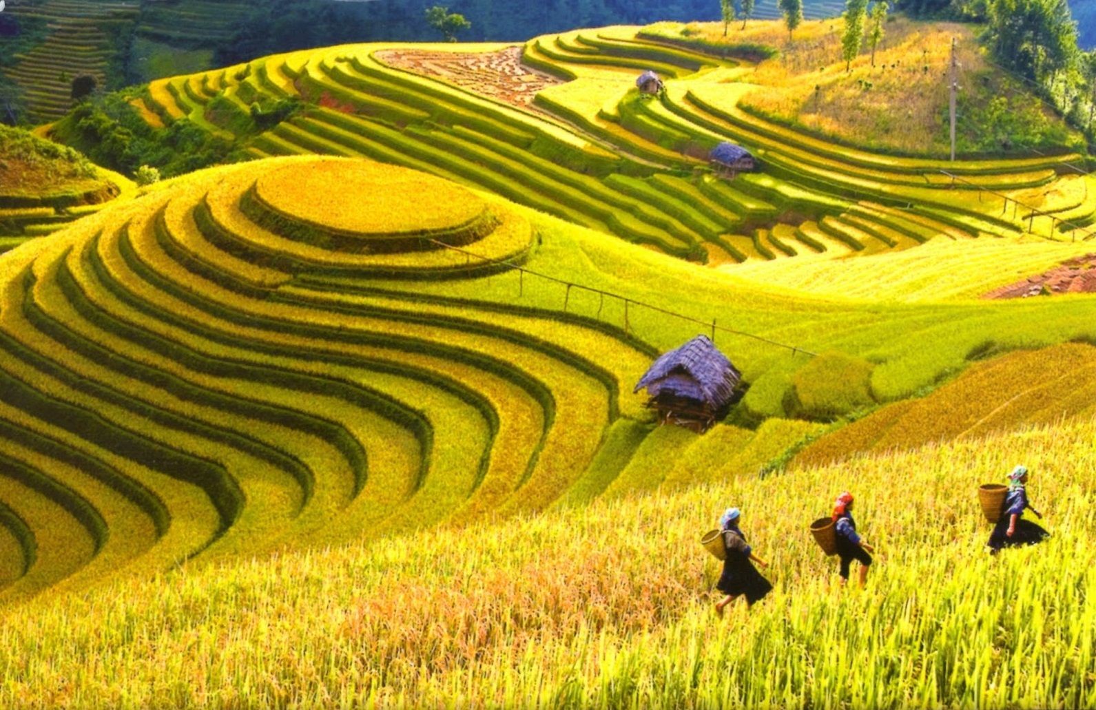 Thơ: Về nguồn