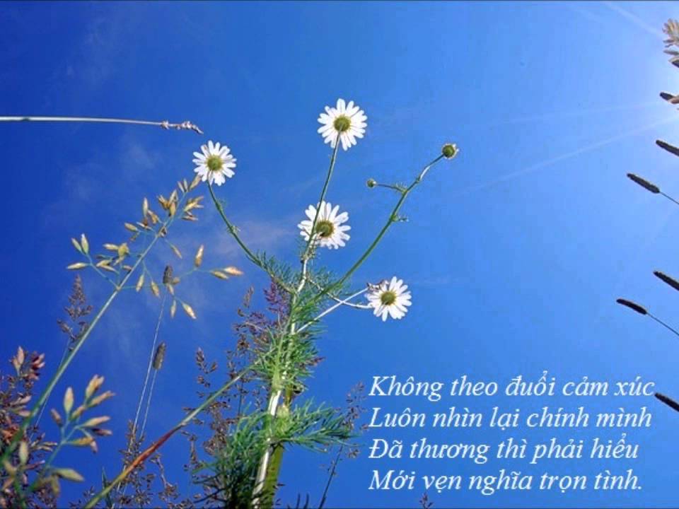 Học Buông Xả