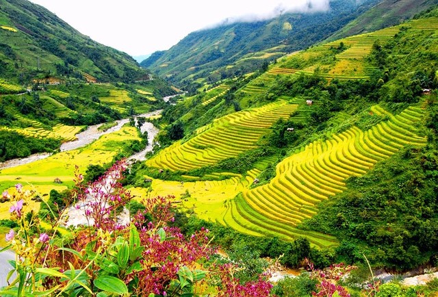 Thơ: Về nguồn