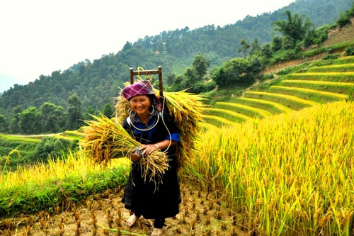 Thơ: Về nguồn