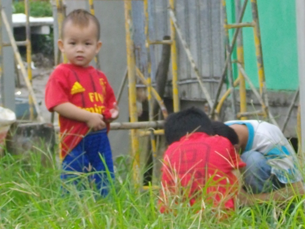 Chiếc cầu mơ ước của Thượng Tọa