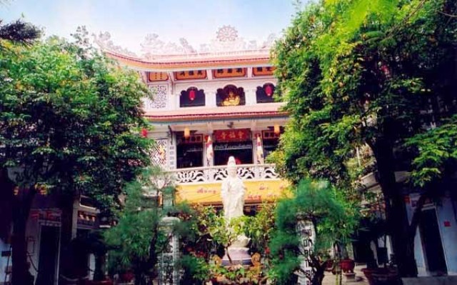 Đầu Xuân vản cảnh Tổ đình Sắc tứ Hội Phước – ngôi chùa cổ có cây  lão Mai cao 12m