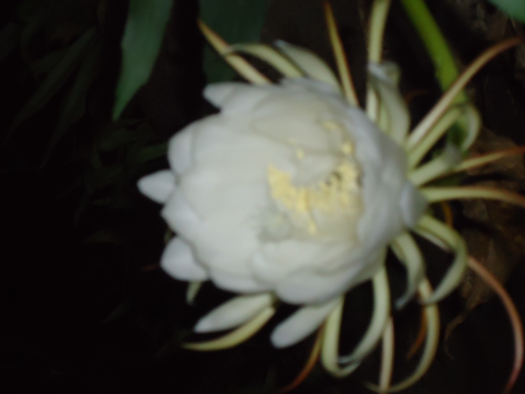 Chùm thơ đường Luật