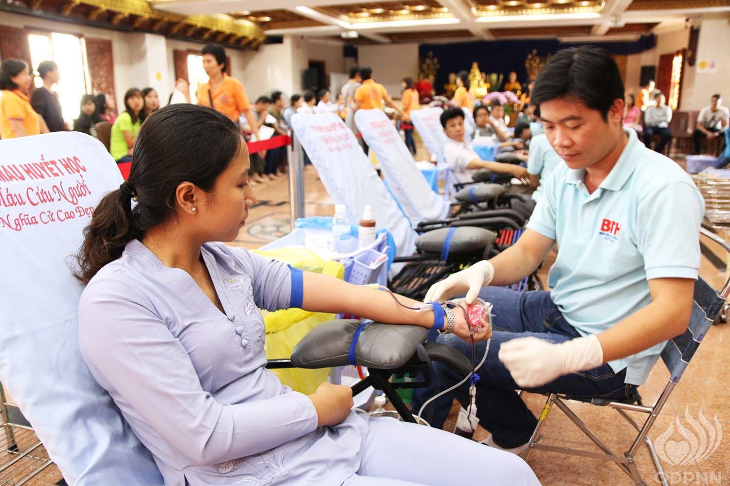 Chùa Giác Ngộ: Một giọt máu cho đi một cuộc đời ở lại ( lần thứ 9)