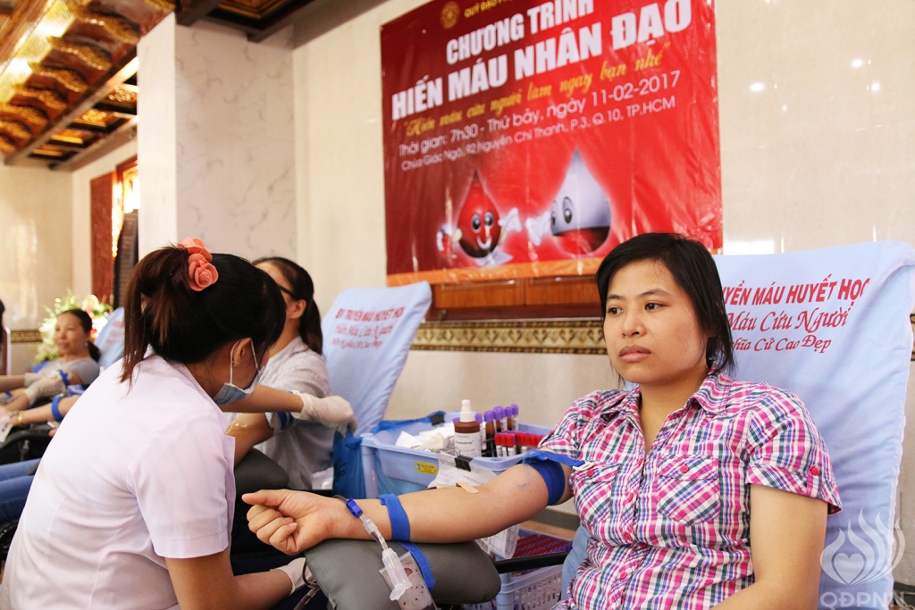 Chùa Giác Ngộ: Một giọt máu cho đi một cuộc đời ở lại ( lần thứ 9)