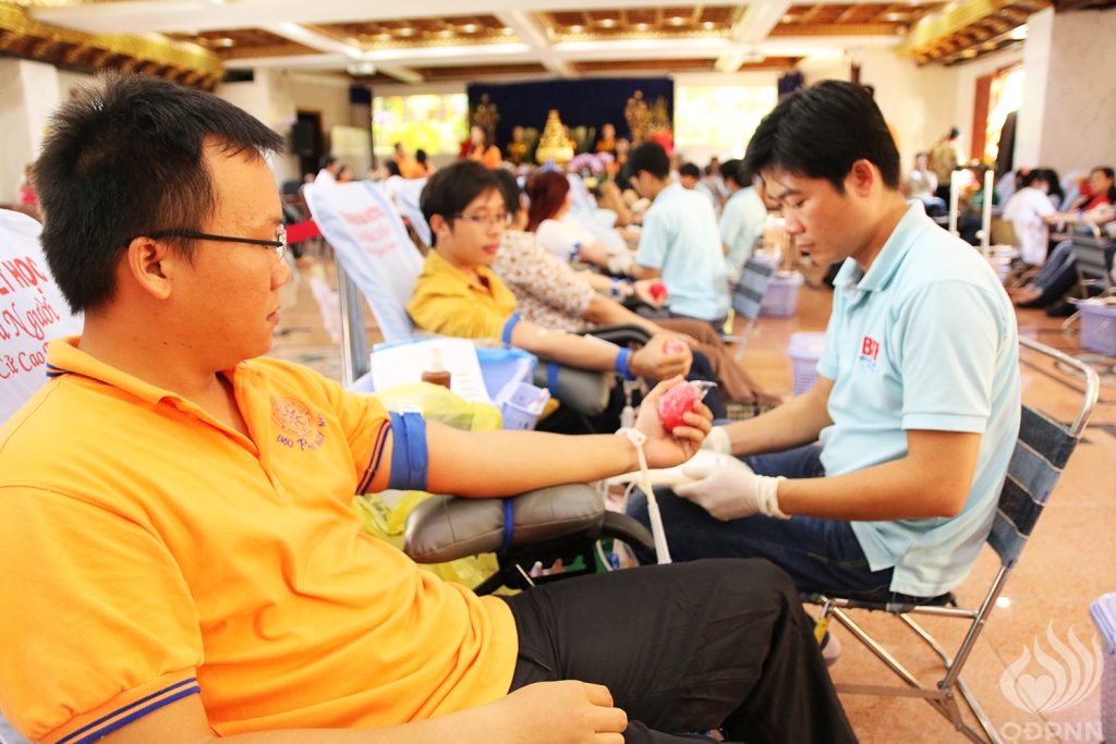 Chùa Giác Ngộ: Một giọt máu cho đi một cuộc đời ở lại ( lần thứ 9)