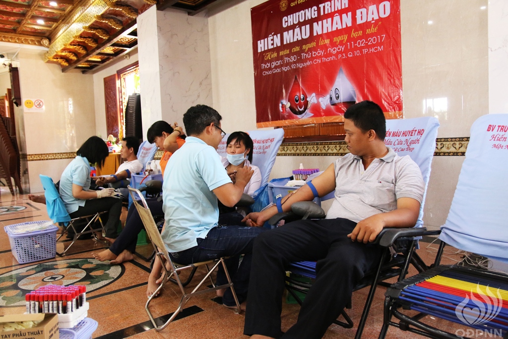 Chùa Giác Ngộ: Một giọt máu cho đi một cuộc đời ở lại ( lần thứ 9)