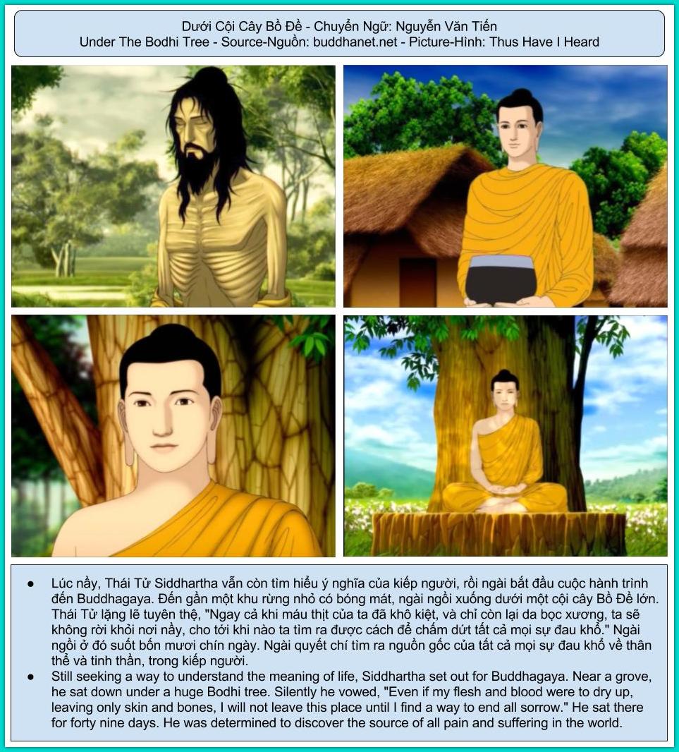 Dưới Cội Cây Bồ Đề