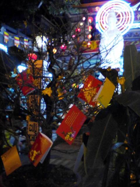 Đầu Xuân vản cảnh Tổ đình Sắc tứ Hội Phước – ngôi chùa cổ có cây  lão Mai cao 12m