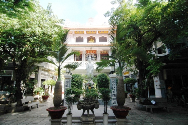 Đầu Xuân vản cảnh Tổ đình Sắc tứ Hội Phước – ngôi chùa cổ có cây  lão Mai cao 12m