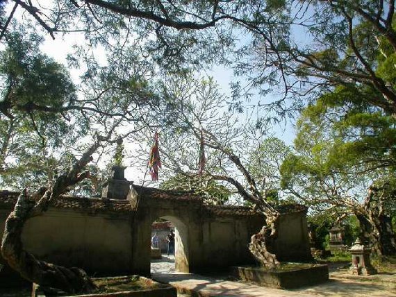 Những điều linh thiêng kỳ lạ ở Hòn Ngọc- Mắt Rồng Và Vườn Tháp Huệ Quang Yên Tử.