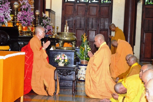 Đầu Xuân vản cảnh Tổ đình Sắc tứ Hội Phước – ngôi chùa cổ có cây  lão Mai cao 12m