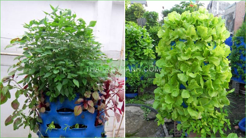 THƯ MỜI THAM DỰ CHƯƠNG TRÌNH “PHẬT GIÁO BẢO VỆ MÔI TRƯỜNG” LỚP HỌC LÀM PHÂN XANH (1/7/2017)