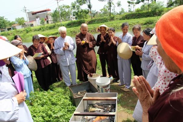 Phát cơm chay từ thiện và phóng sanh tại Nga Sơn