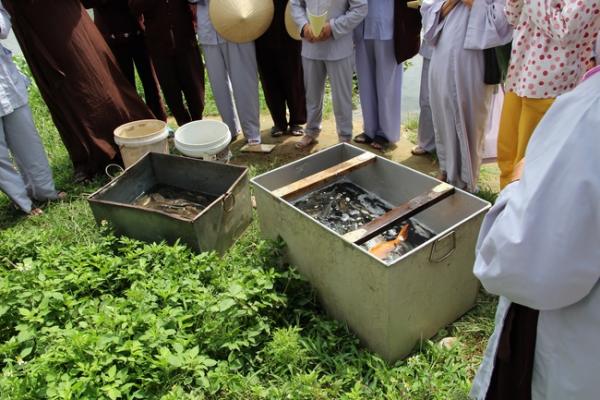 Phát cơm chay từ thiện và phóng sanh tại Nga Sơn