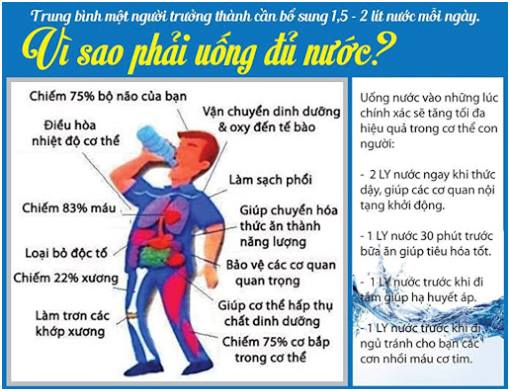 Bổ sung nước cho cơ thể như thế nào mới đúng cách ?