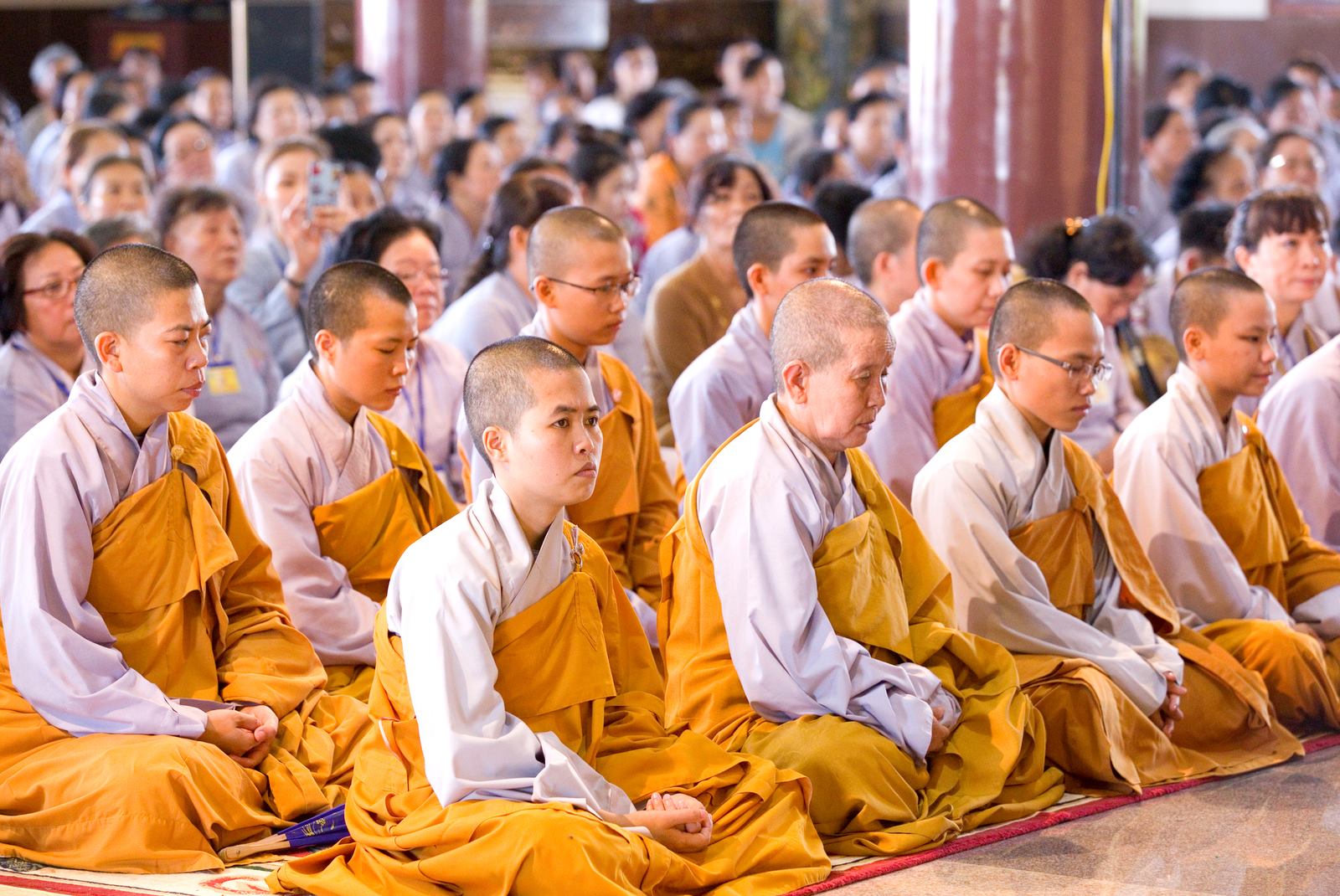 Vĩnh Long: Tổ chức khóa tu thiền tại chùa Phật Ngọc Xá Lợi