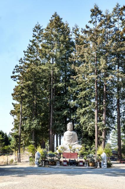 Tu Viện Kim Sơn Tổ Chức Đại Lễ Phật Đản Tại  San Jose,  Hoa Kỳ