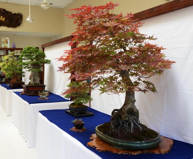 Đại lễ Phật đản PL.2561 tại chùa Đức Viên,San Jose (Hoa Kỳ)