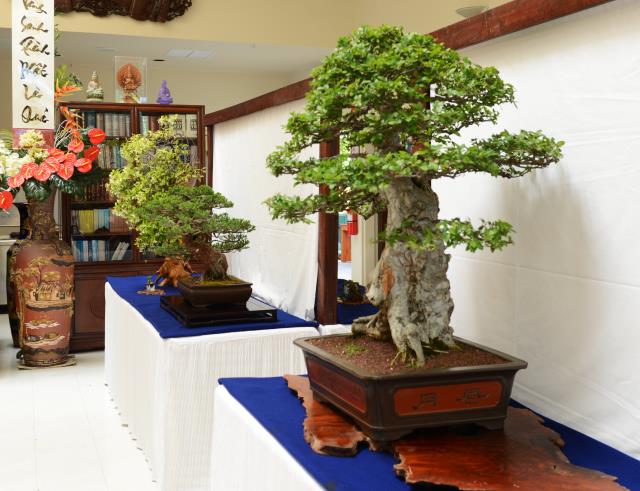 Đại lễ Phật đản PL.2561 tại chùa Đức Viên,San Jose (Hoa Kỳ)