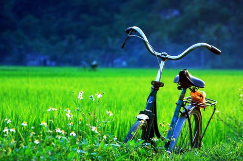Sự Tiến Hóa Của Con Người