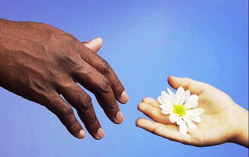 Chánh Tinh Tấn Siêng Năng Không Mệt Mỏi