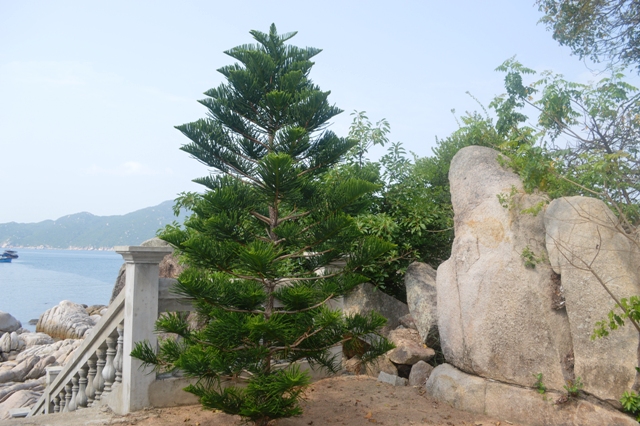 Thăm Chùa Đại Hải trên đảo Bãi Giếng (Khải Lương- Vạn Thạnh) mùa Phật đản 2017