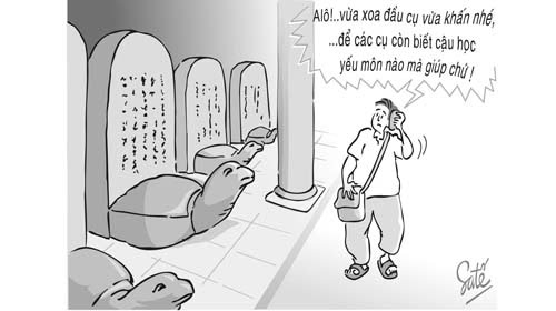 Nhân Quả Là Nền Tảng Của Sự Sống