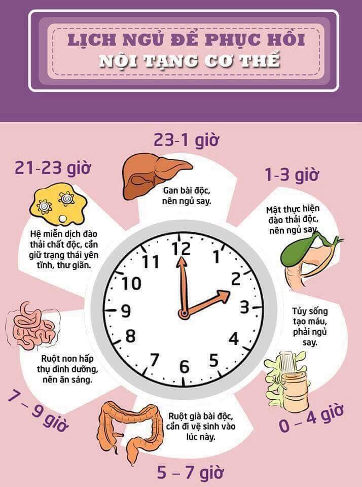 Cách thải độc cơ thể