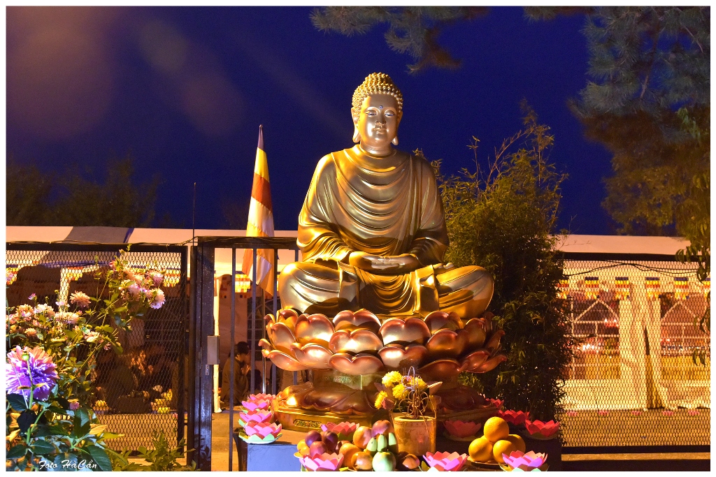 Lễ Thắp Nến Tri Ân- Cầu Siêu Phả Độ Gia Tiên- Cúng Thập Loại Chúng Sinh Tại Chùa Vĩnh Nghiêm Praha