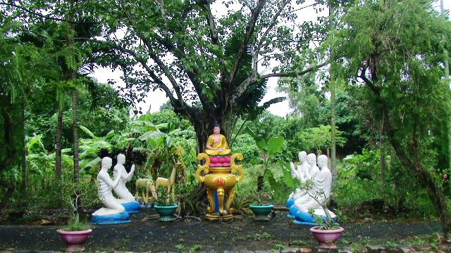 Chùa Nghĩa Sơn,  hơn hai mươi  năm một chặng đường