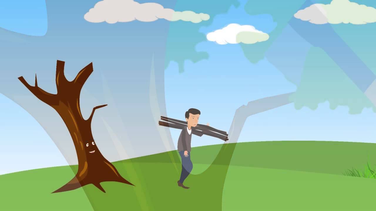 Chú bé và cây táo thần tiên