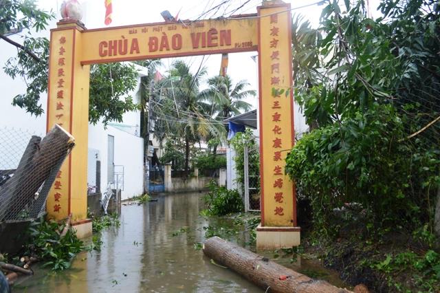 Khánh Hòa: Chùa Đào  Viên, Linh Quang bị bão số 12 tàn phá.
