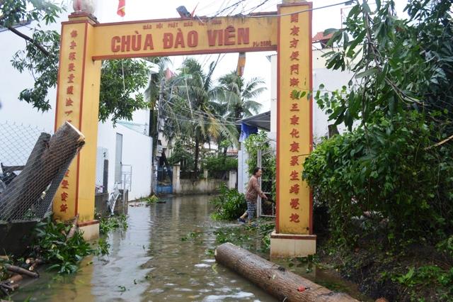 Khánh Hòa: Chùa Đào  Viên, Linh Quang bị bão số 12 tàn phá.