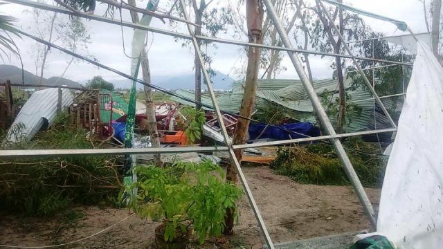 Khánh Hòa: Chùa Đào  Viên, Linh Quang bị bão số 12 tàn phá.