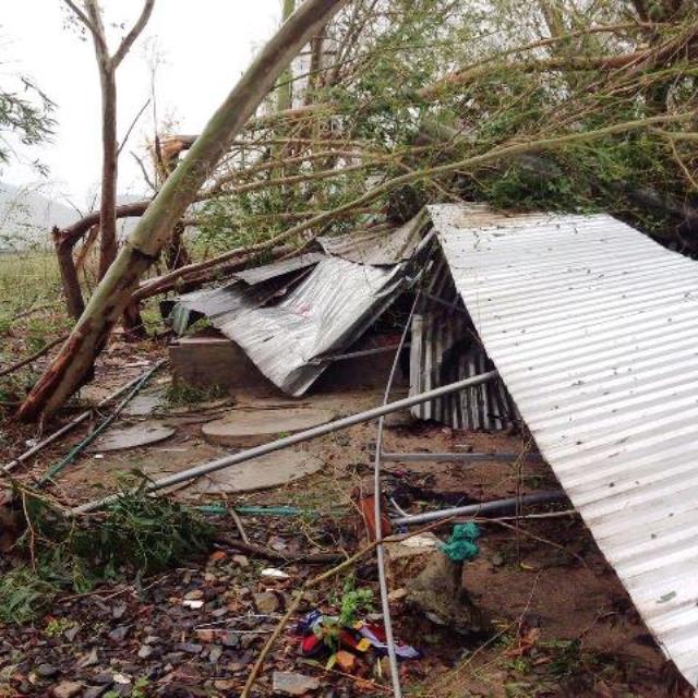 Khánh Hòa: Chùa Đào  Viên, Linh Quang bị bão số 12 tàn phá.