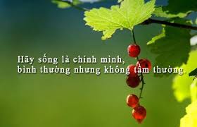 Người đời vui buồn trong được mất