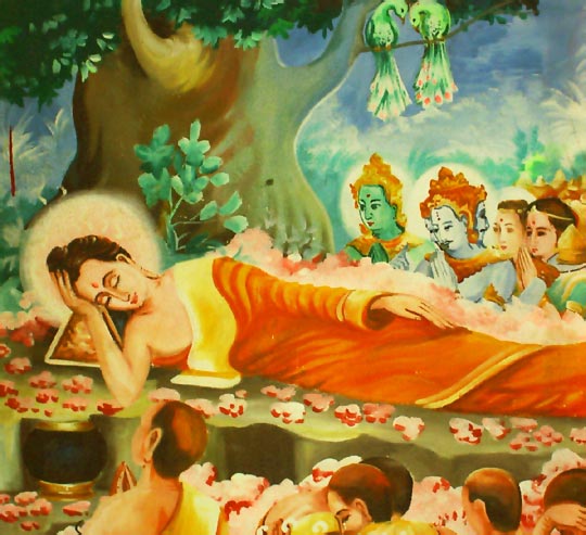 Ngàn năm Sala xào xạc thầm thì