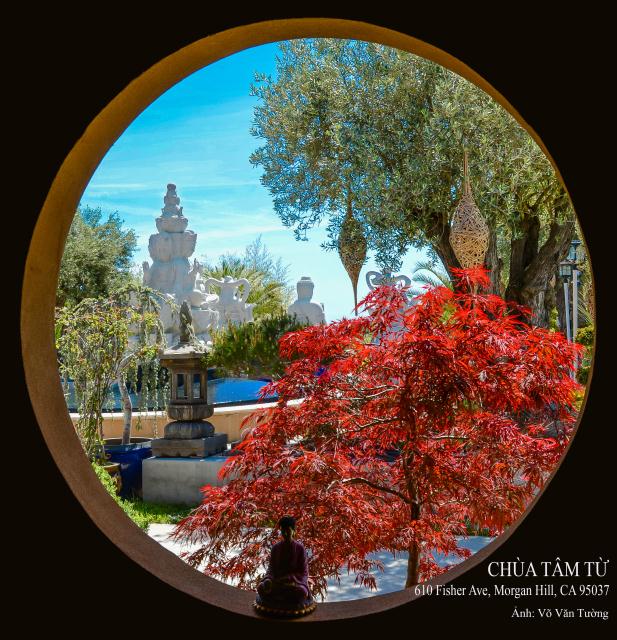 Chùa Tâm Từ, California Với Vườn Hoa Anh Đào Nhật Tuyệt Đẹp