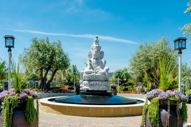 Chùa Tâm Từ, California Với Vườn Hoa Anh Đào Nhật Tuyệt Đẹp