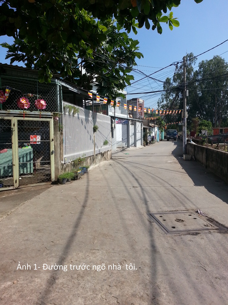 Lại Chuyện Tư Gia Treo Cờ Kính Mừng Phật Đản