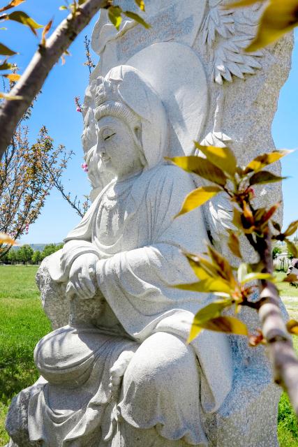 Chùa Tâm Từ, California Với Vườn Hoa Anh Đào Nhật Tuyệt Đẹp